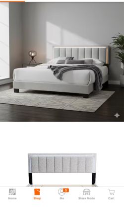 Jiana White and Black Wood Frame Queen  Platform Bed with Headboard