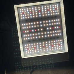 LED grow light 