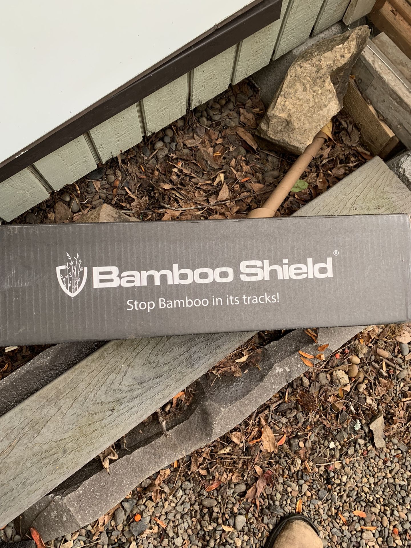 Bamboo Shield New