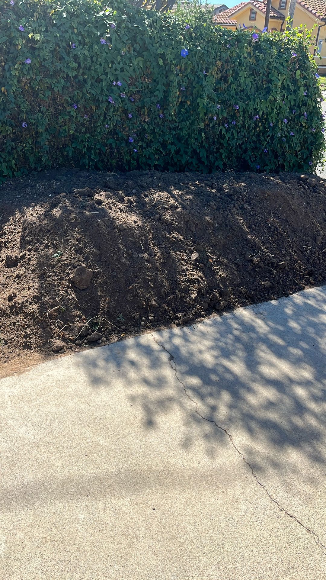 Clean Dirt For Free (gratis)