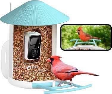 New Birdfy Smart Bird Feeder Camera Auto Record and Save Bird Videos Clear Night Vision Wireless