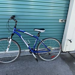 Hybrid Bicycle