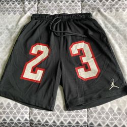 Jordan Brand #23 Mesh Basketball Shorts Size Small