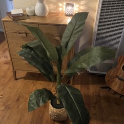 Artificial Plant