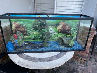 Fish Tank