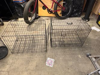 Jaulas las dos x $50