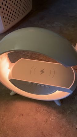 Speaker
