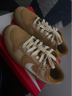 Nike dunk low retro