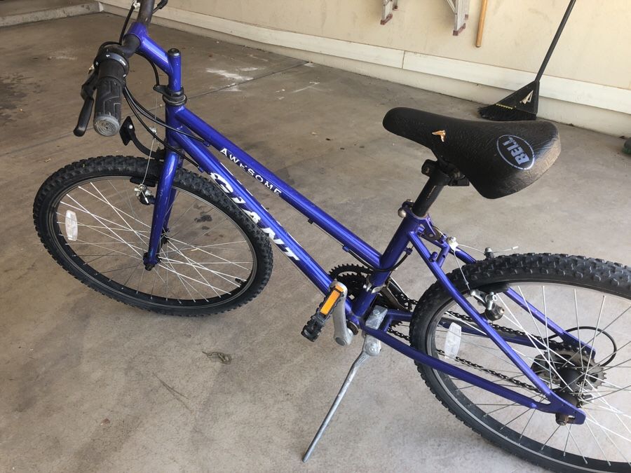 Giant awesome bike sale