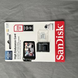 Sandisk 256GB MicroSD Card