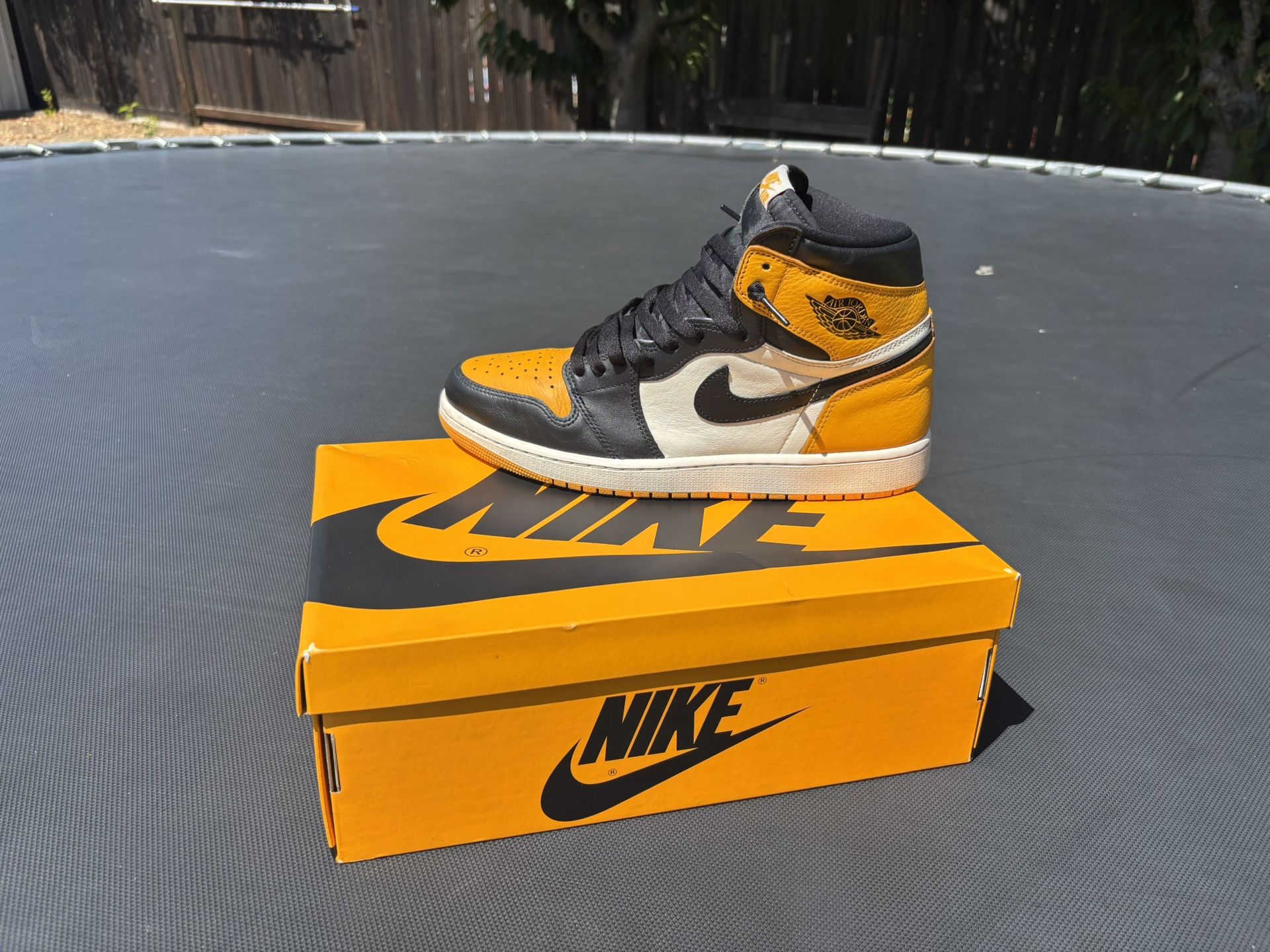 Jordan 1 Taxi Size 12