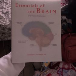 Essentials Of The Brain Book