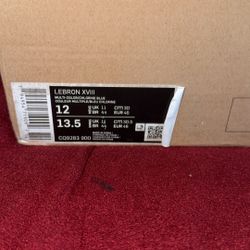 LeBron XVIII