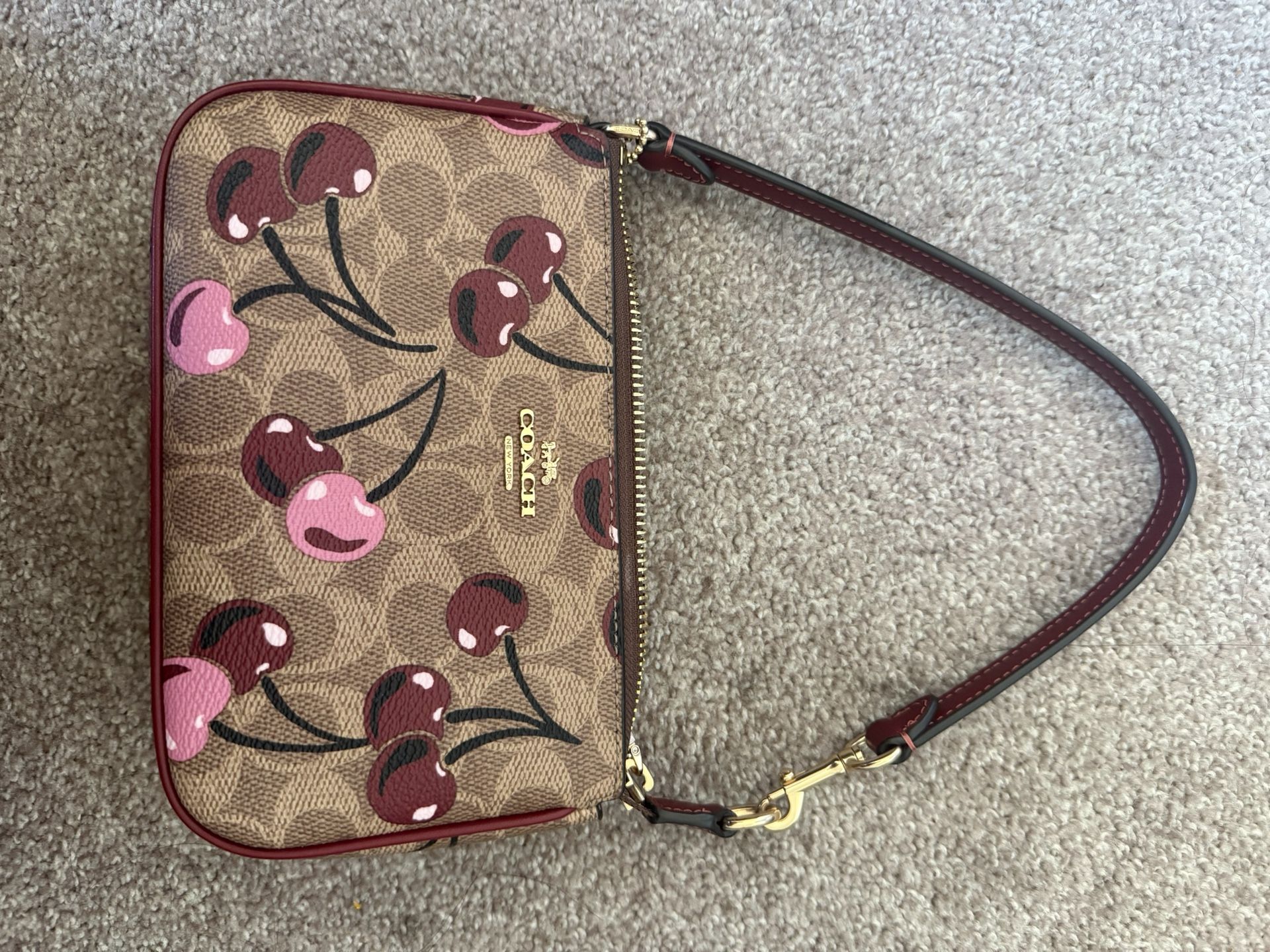 Coach & Juicy Bags