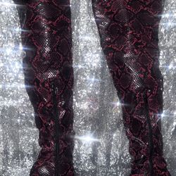 Size 5 1/2 Thigh High Boots 