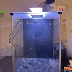 3.5 Gallon Aquarium With Lid & Light