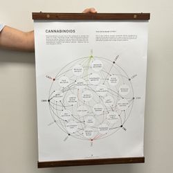 Hanging Wall Posters
