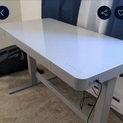 Tresanti Geller 47” Adjustable Height Desk