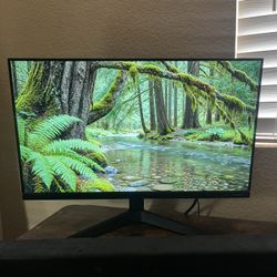 HD Samsung monitor 24'