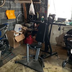 Bowflex Xtreme