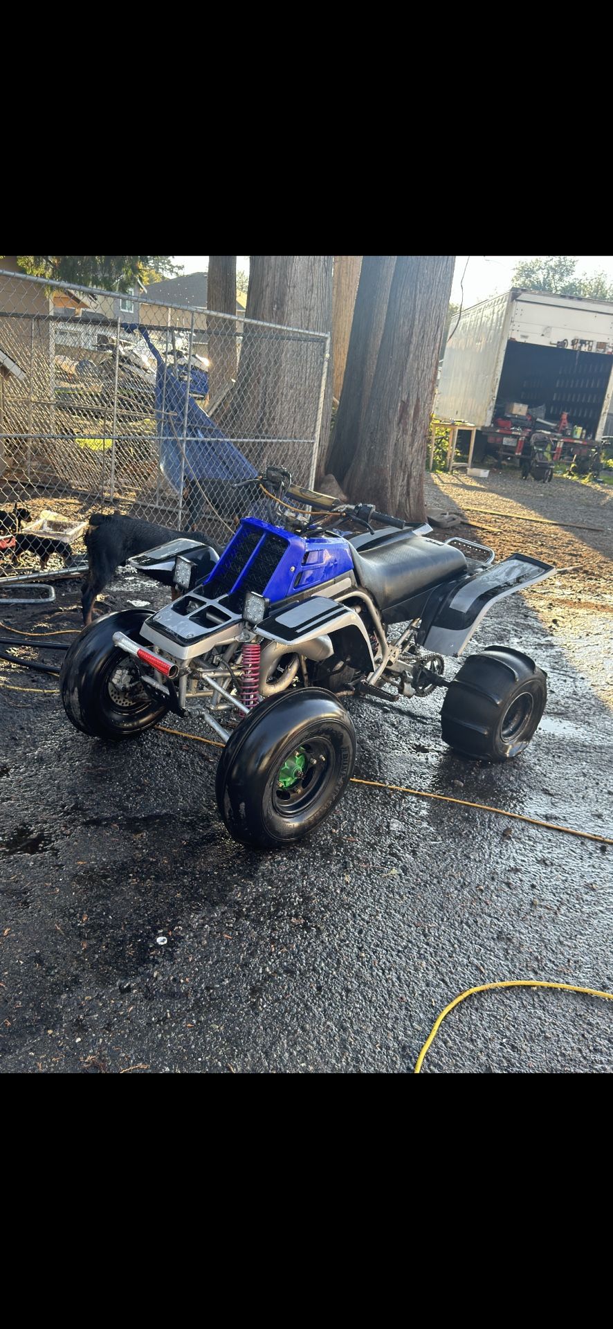 Yamaha Banshee (contact info removed)