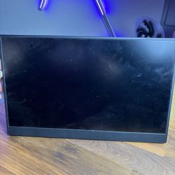 1080p Portable Display 