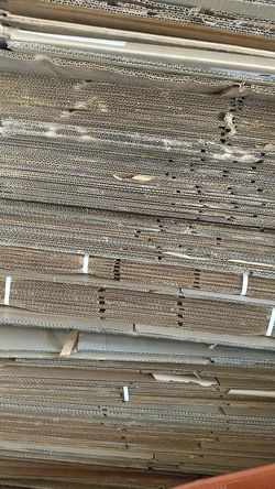 Medium boxes assorted sizes new & like new