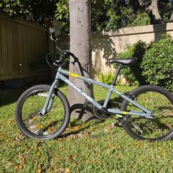 Redline Roam BMX 20 Inch Bike