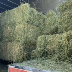 Alfalfa Hay - Free Delivery