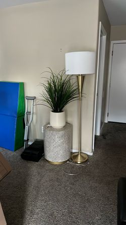 Lamp & Table & Plant
