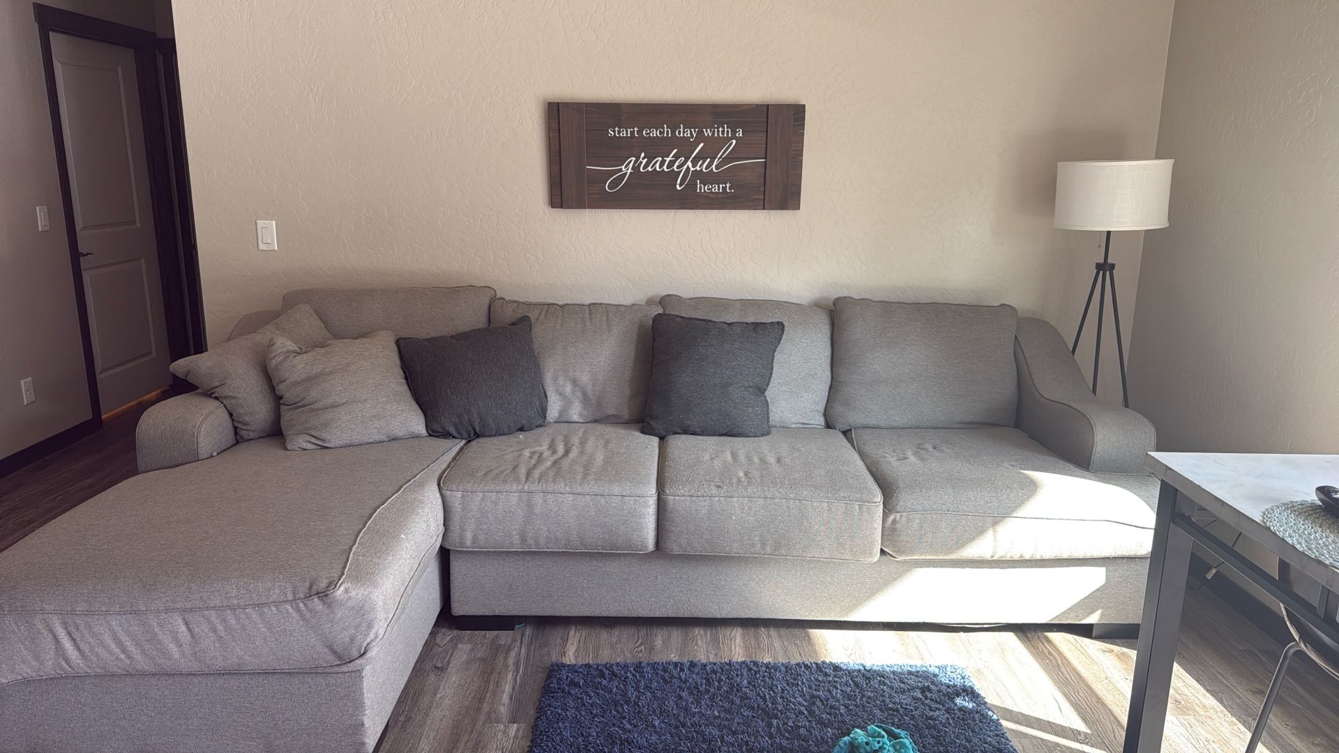 Sectional Couch