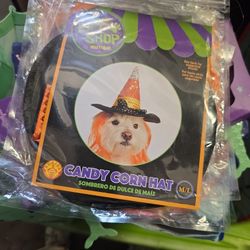 Dog Wigs And Toys 