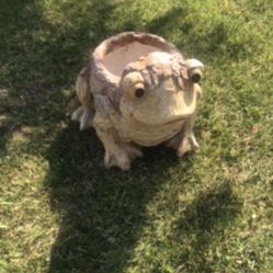 New Flower Pots Made Out Resin Perfect Gift For Any Occasion 
