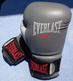 Everlast Boxing Gloves 14oz