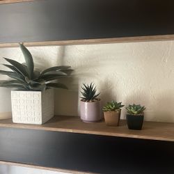 Artificial Succulents 