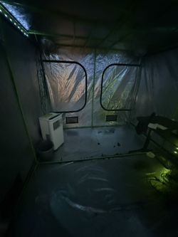 10x10 Grow Tent
