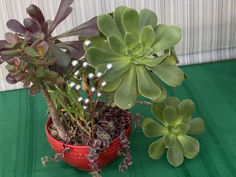 Something That Will Give You Luck!