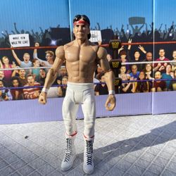 WWE Action Figure : Ricky Steambot