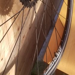 Bike Tire