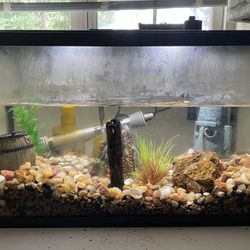 10g Fish Tank