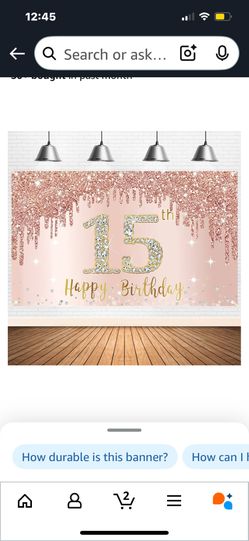 15th Birthday Party L