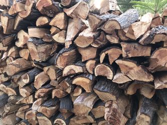 Beach Barn Fire & Camping ⛺️🪵🔥