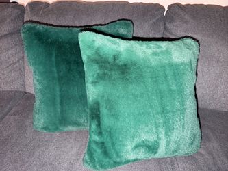 2 Green Throw Pillows
