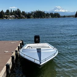 1988 Cee Bee Avenger 175 Hp Mercury Outboard