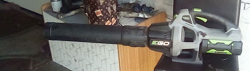 Leaf blower