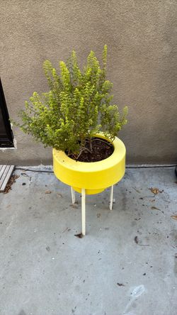 Mid century yellow pot in enamel