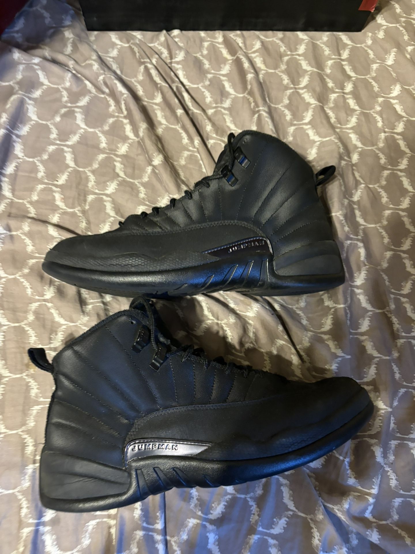 Air Jordan 12 Size 10.5 Men