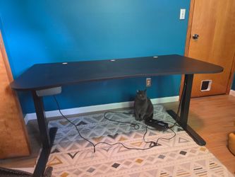 Large sit/stand desk in great condition