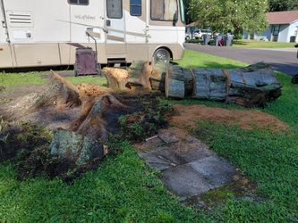Free fire wood