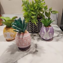 Eggs And Plant  Decor